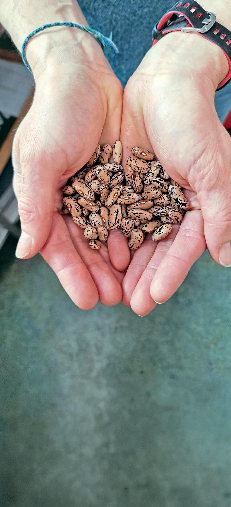 MAKING THE RIGHT CHOICE ABOUT SEEDS