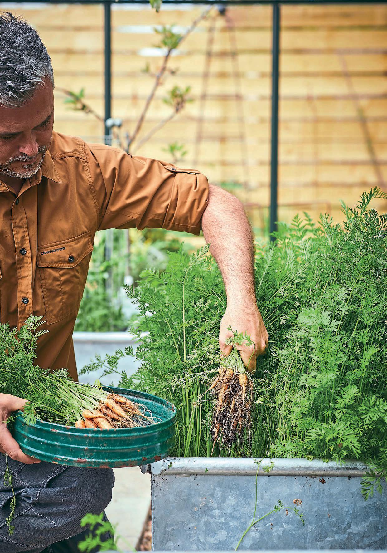 TRIED, TESTED AND STAYING