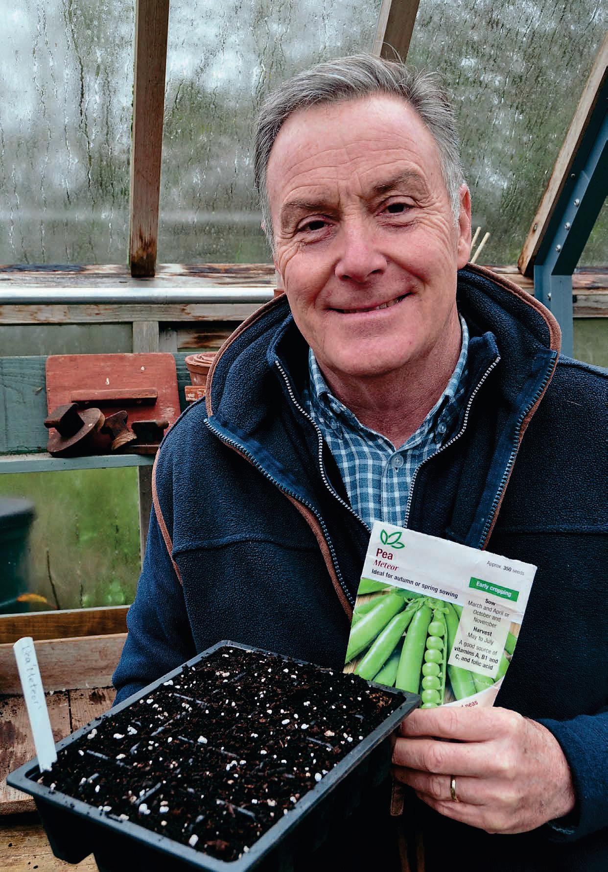 PLANNING FOR PERFECT PEAS