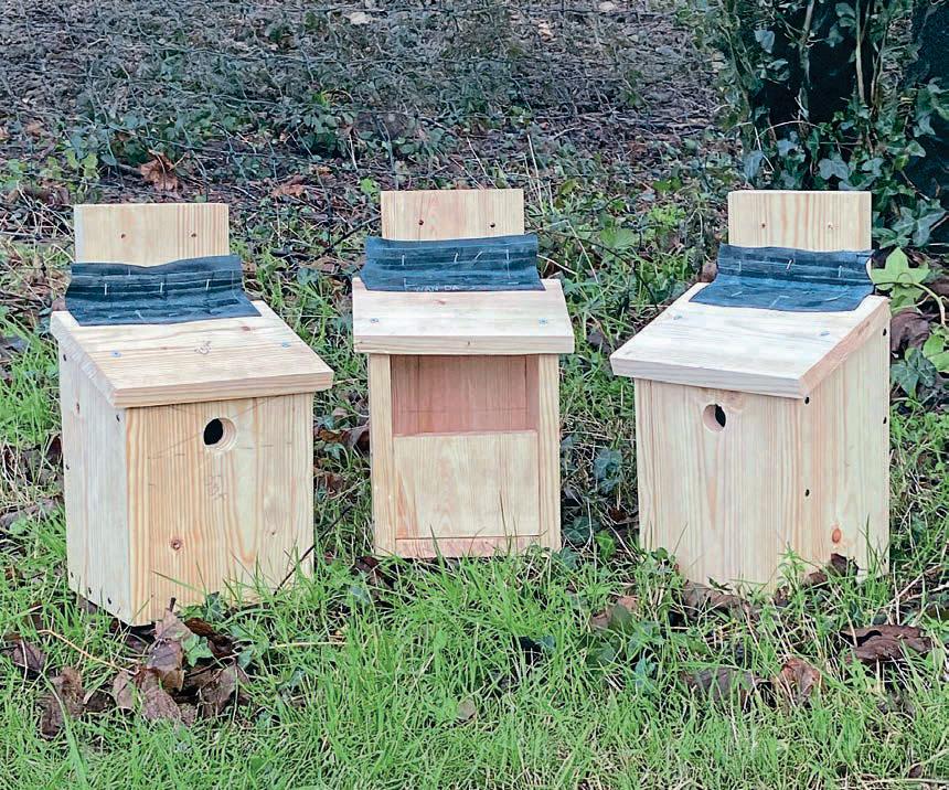 NATIONAL NESTBOX WEEK