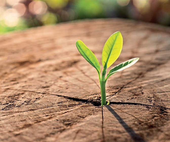 Let yourself grow!