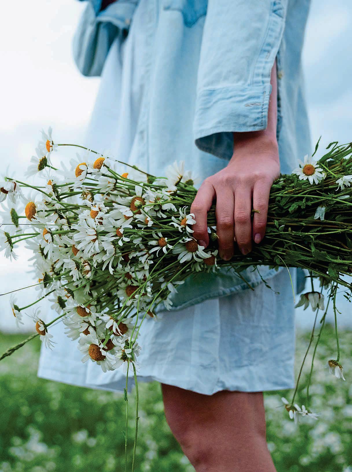 WE DON'T TELL THE FLOWERS WHEN TO bloom...