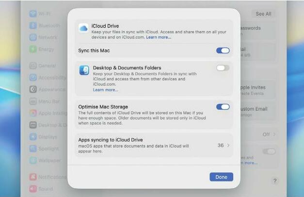 Sync only Documents to iCloud