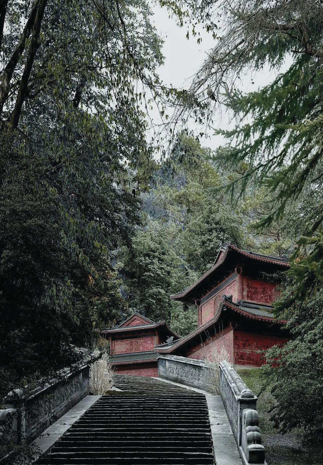 BLEND BUILDINGS AND NATURE IN A PEACEFUL SCENE