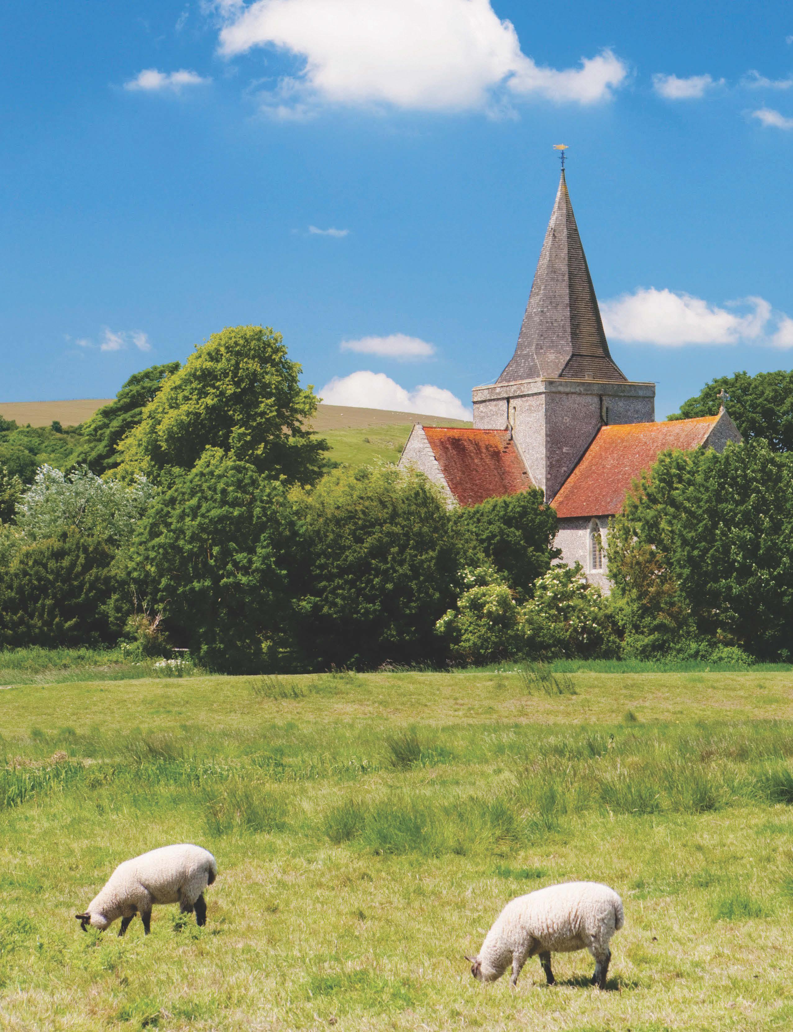 SUSSEX charmer