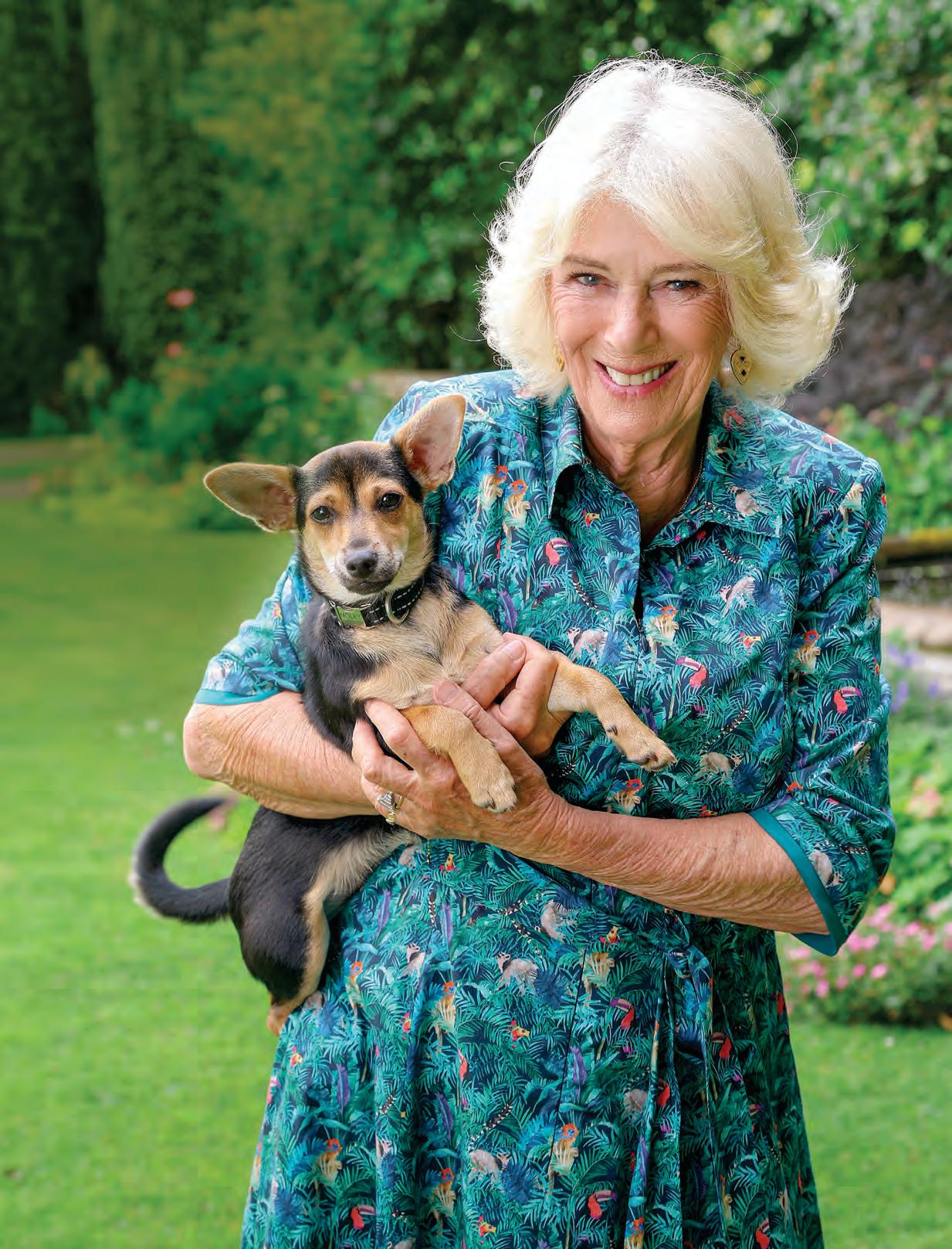 ANIMAL ambassadors