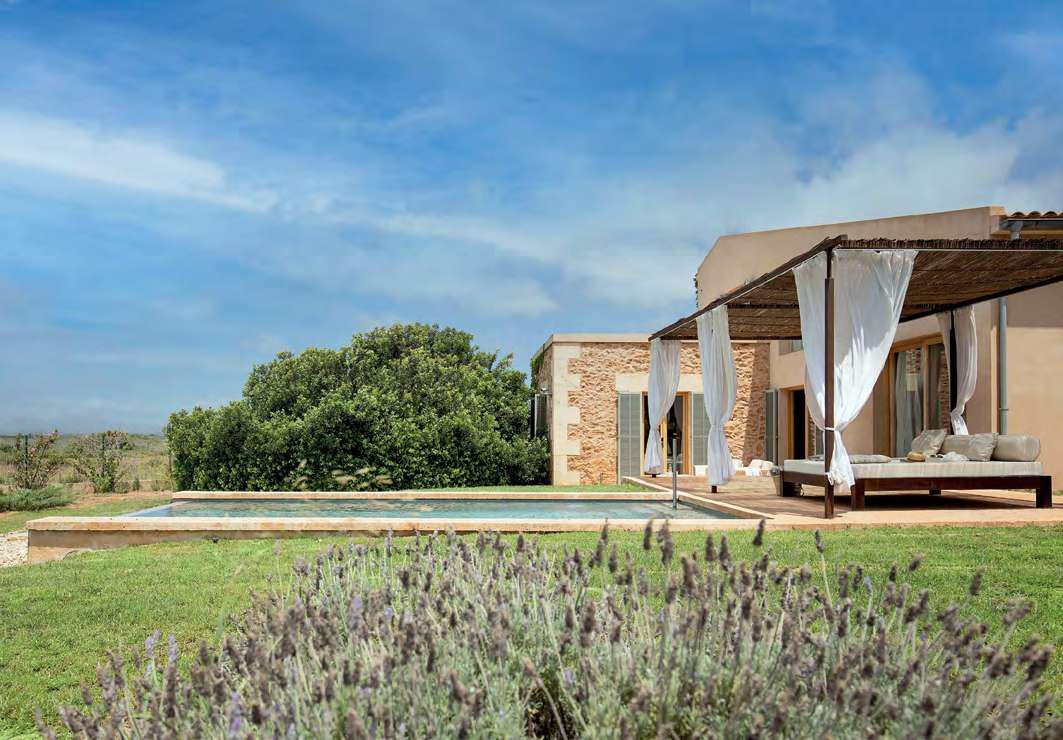 THE DAY WE FORGOT TO CHECK EMAILS