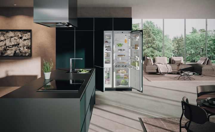 DESIGNED TO DISAPPEAR