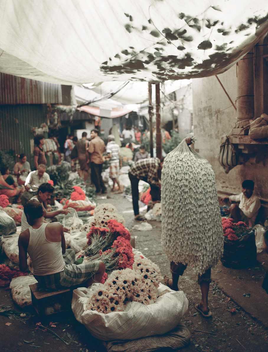 BEAUTY AS A CONSEQUENCE OF BUSINESS