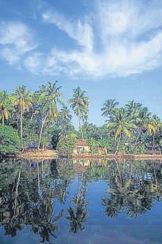 Catching up with Kochi