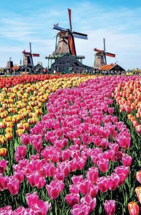 Rooted or re-routed?