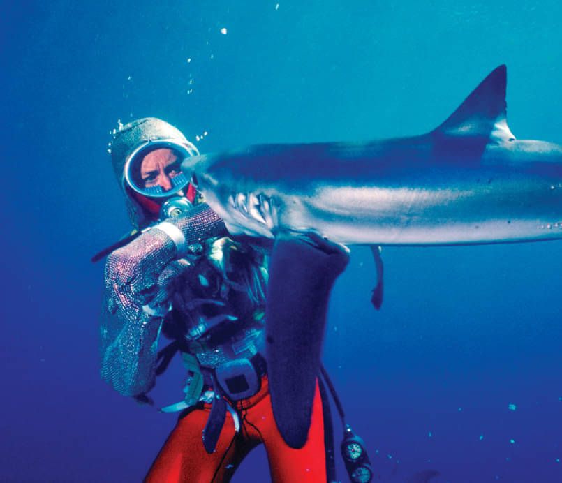 Playing with Sharks