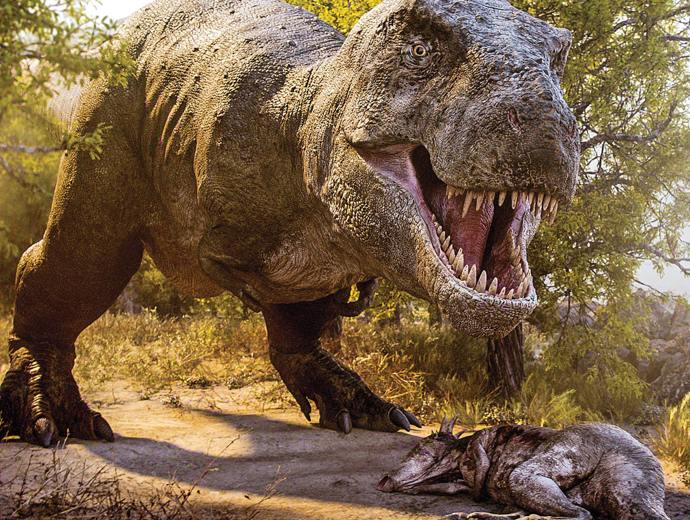 Dino might