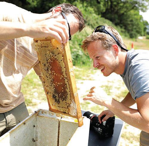Getting a buzz