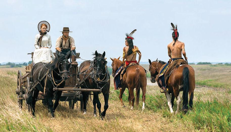 WILD frontier