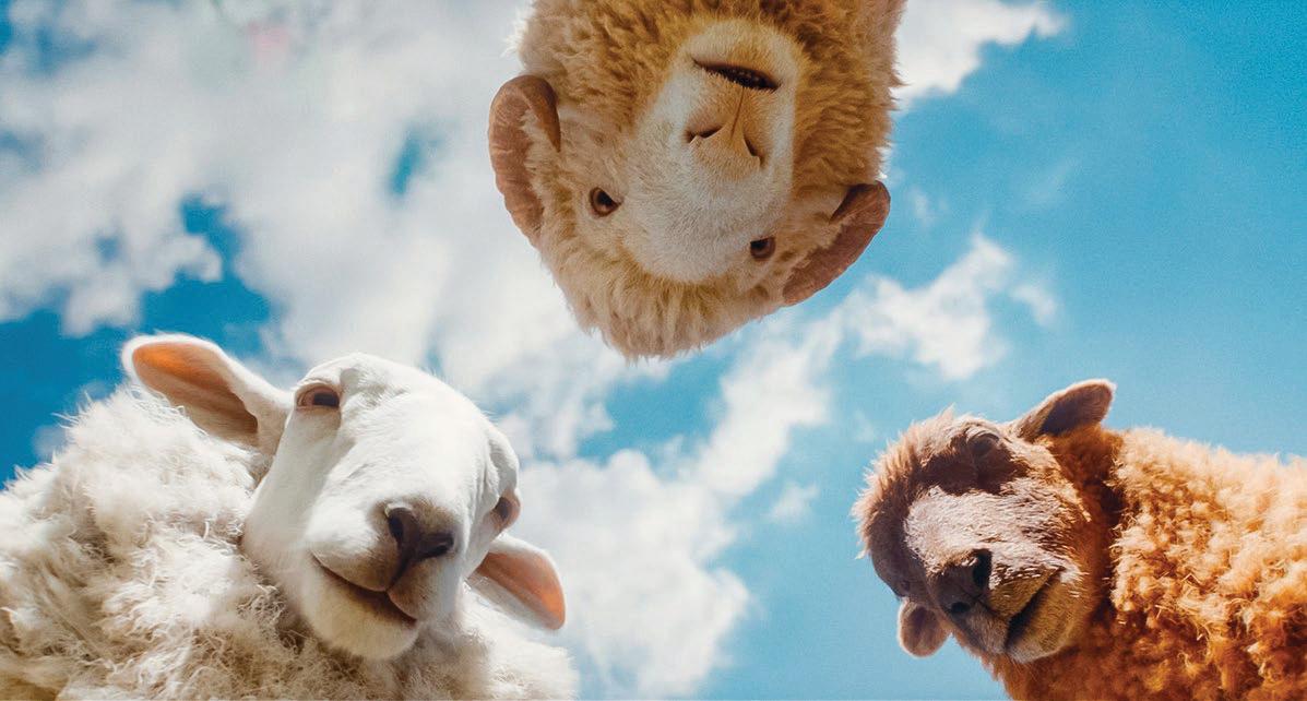 The Sheep Detectives