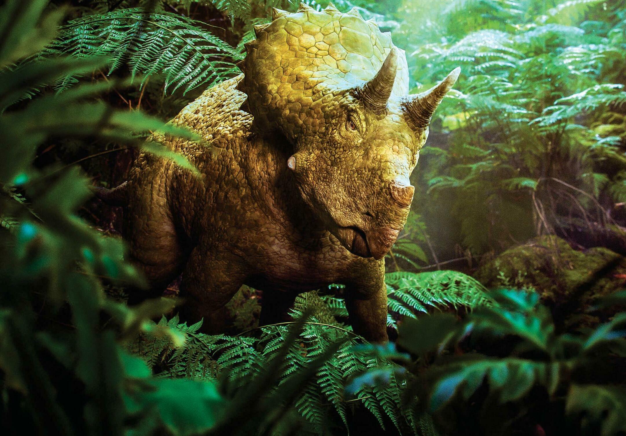 DINO -mite!