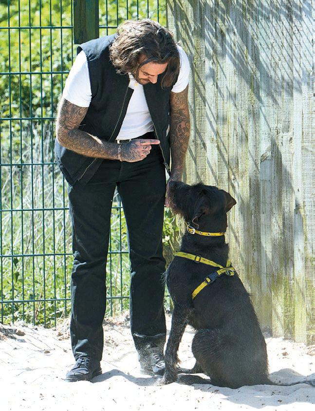 ONE MAN and his dogs