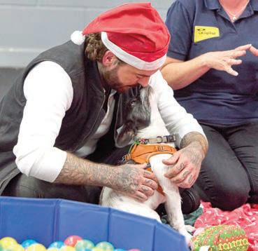 Santa PAWS