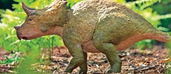Prehistoric party!