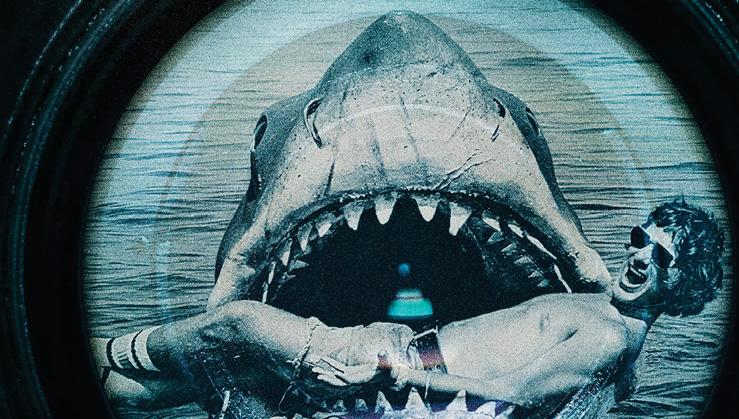 Shark attack!