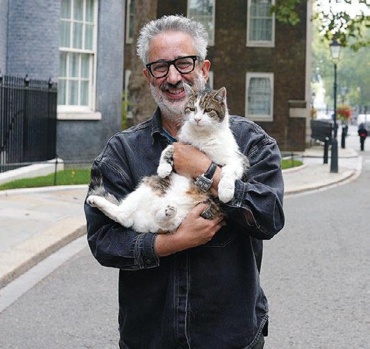 Marvellous moggies!