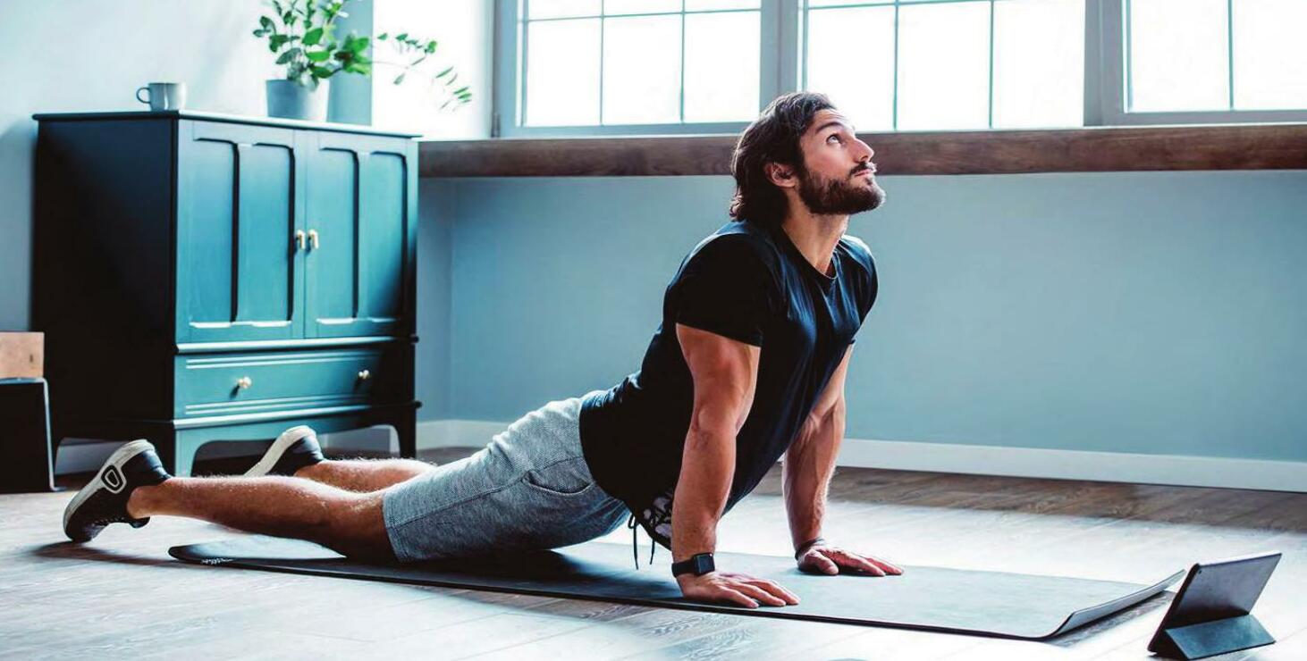 Power Up Your Palette