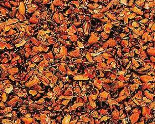 Master Mulch
