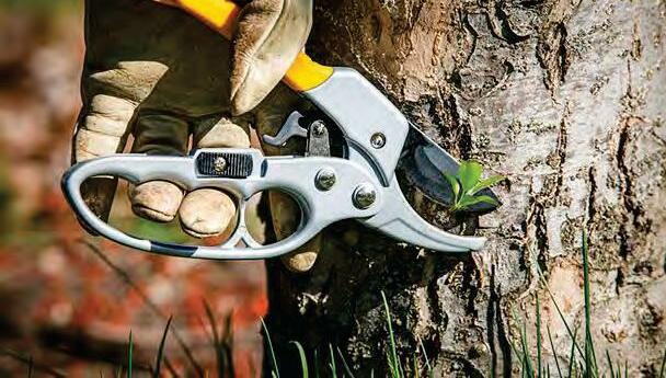 How to Prune a Tree