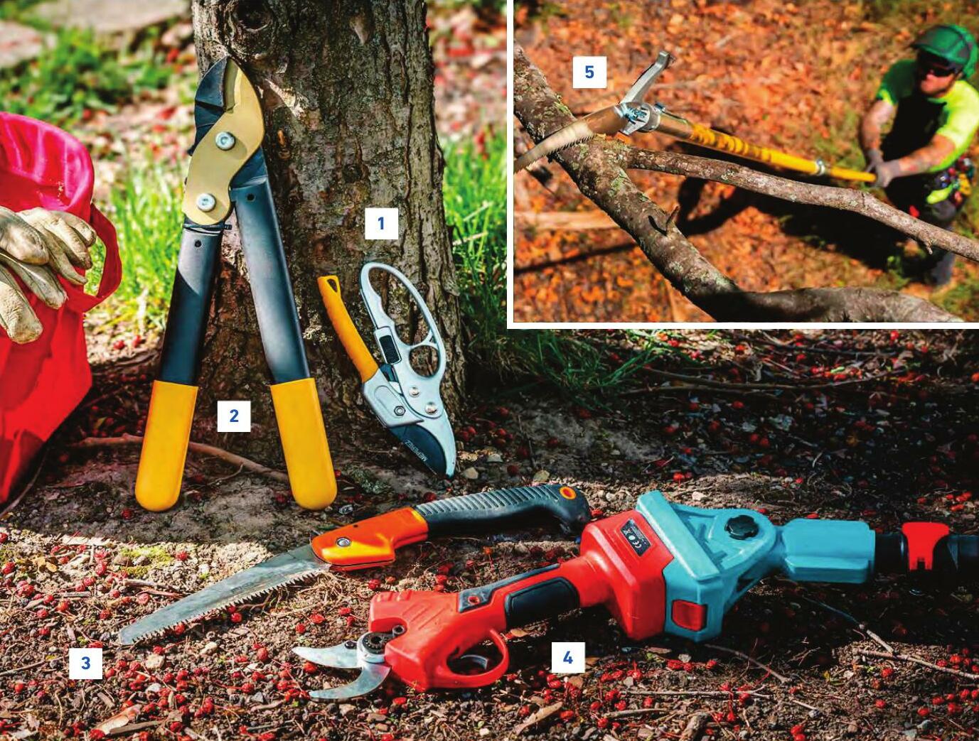 Your Pruning Toolkit