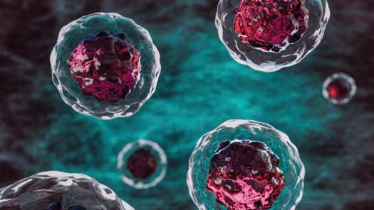 Can stem cell therapy cure diabetes?