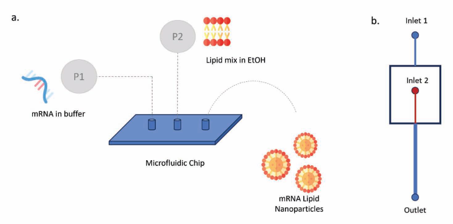 Leveraging Microfluidic Technology for mRNA-LNP Manufacturing