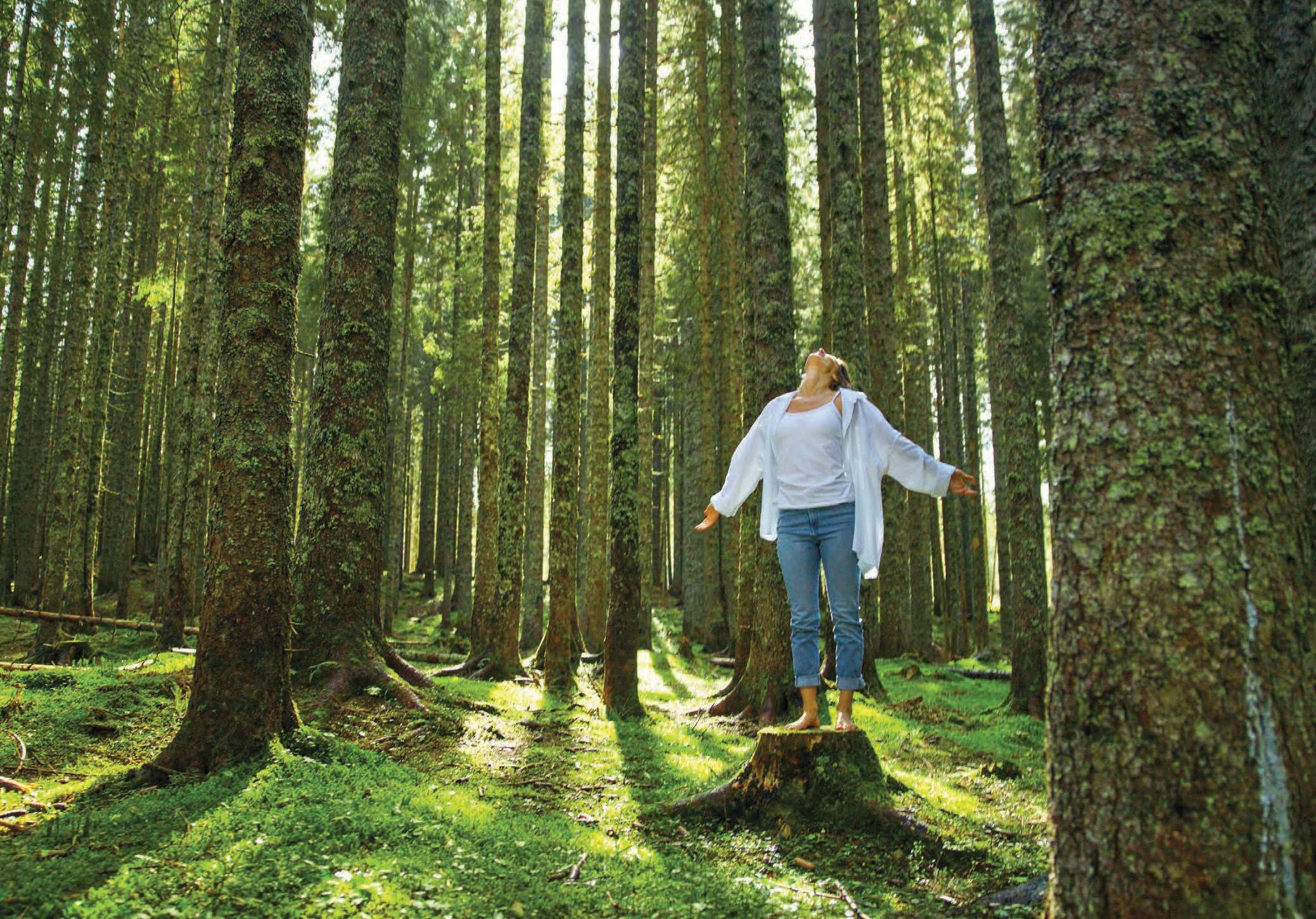 HOW NATURE HEALS HOW NATURE HEALS