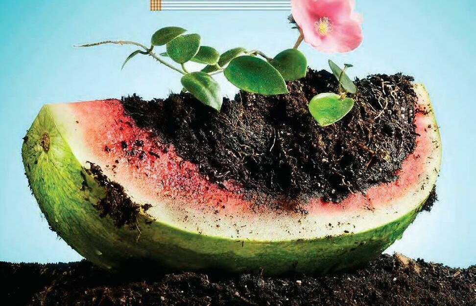 Get the Good Dirt