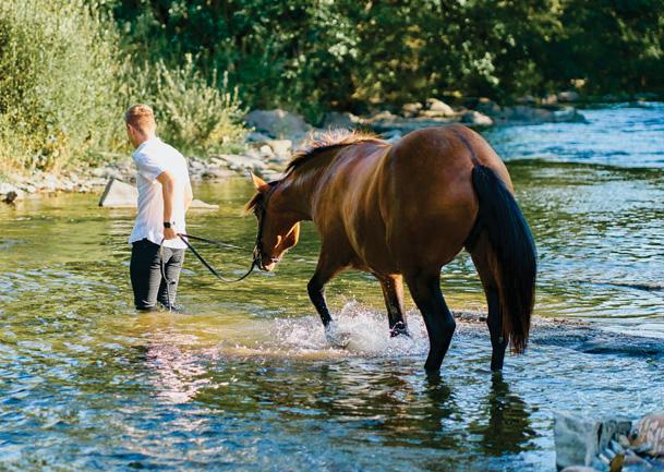 TREAT OTHERS WITH RESPECT