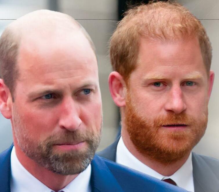 William and Harry's SECRET MEETING