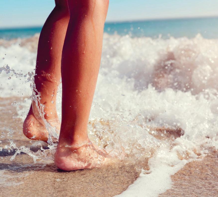 The red-tailed SHRIMP