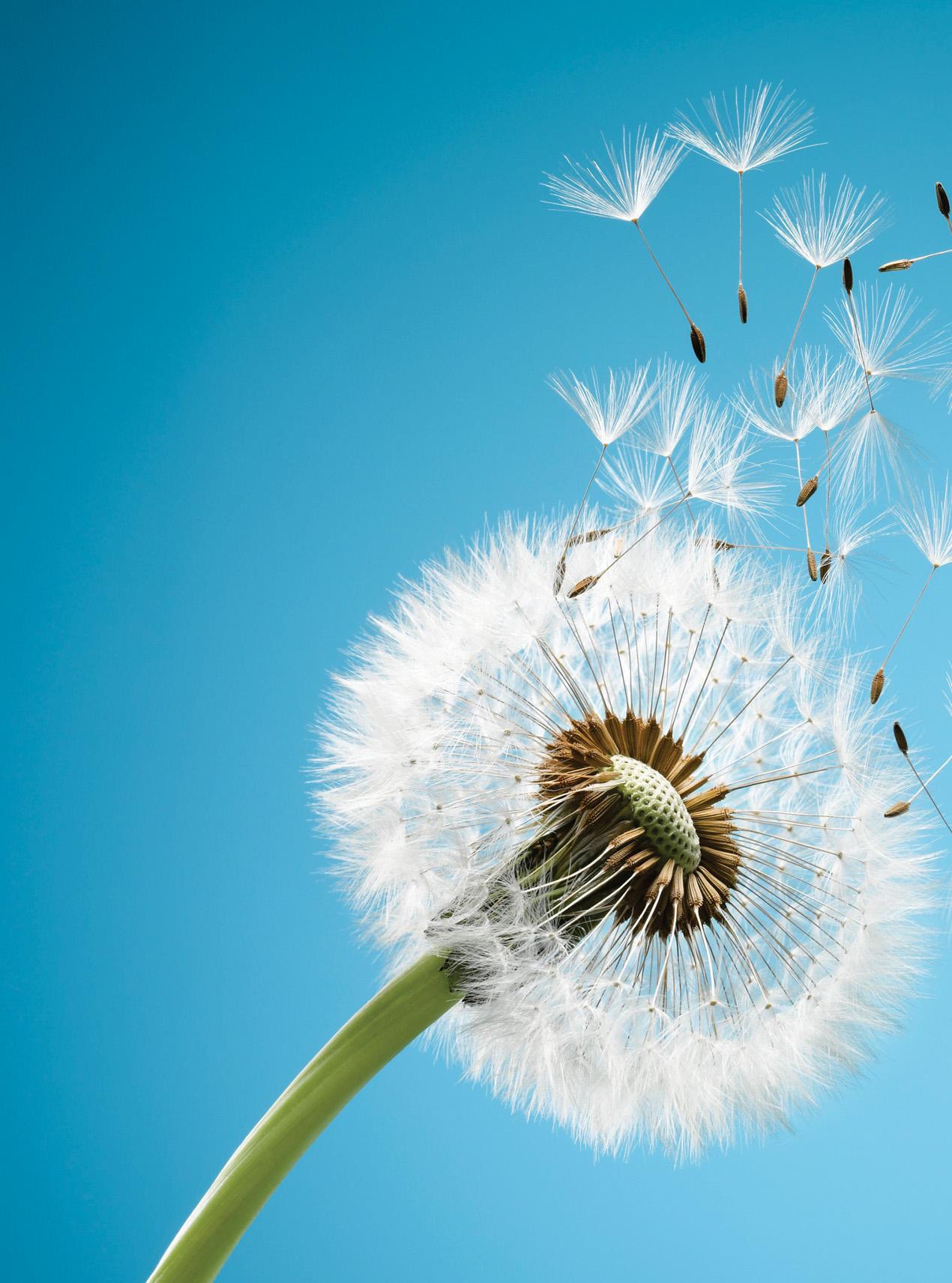 Together UNTIL THE END