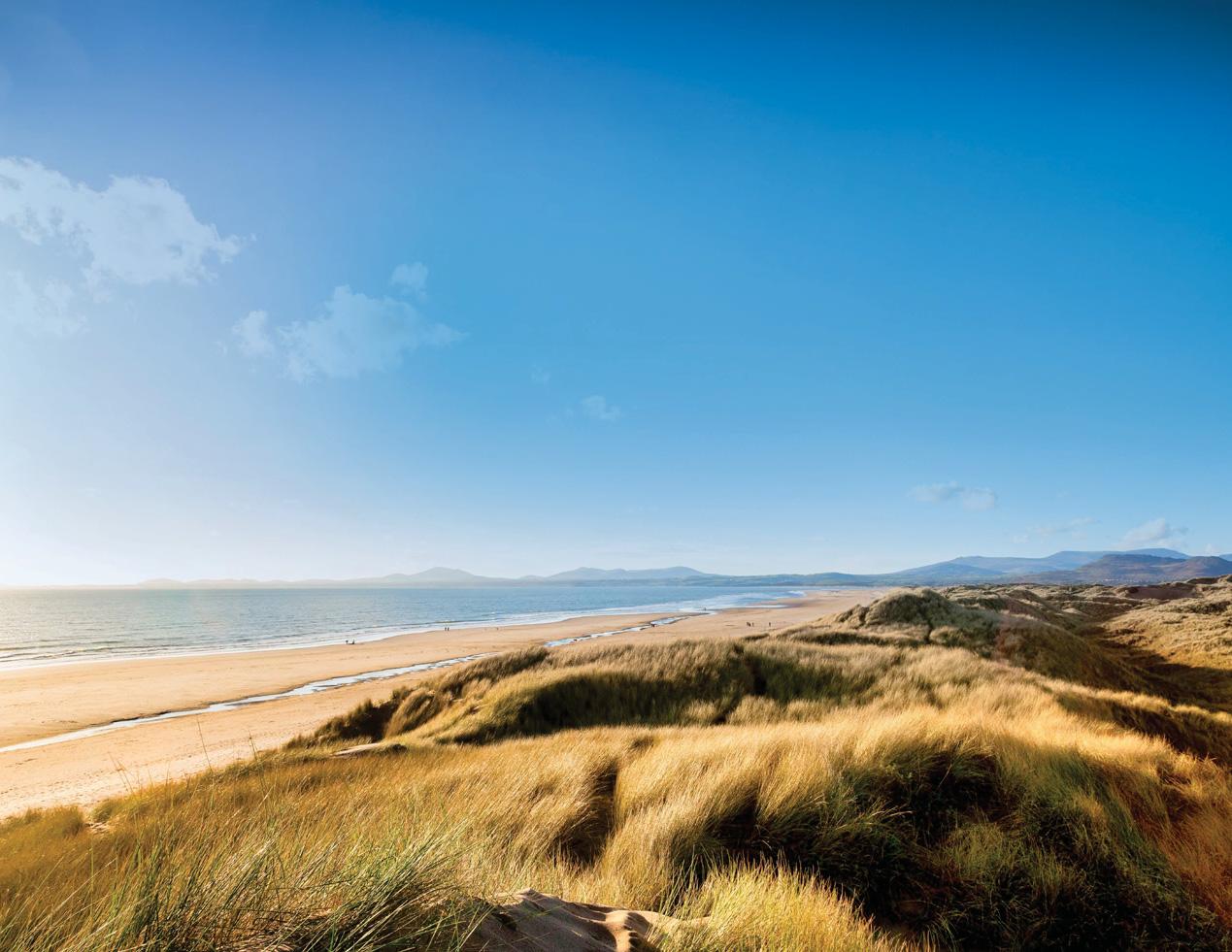 Dreaming of a Welsh WONDERLAND