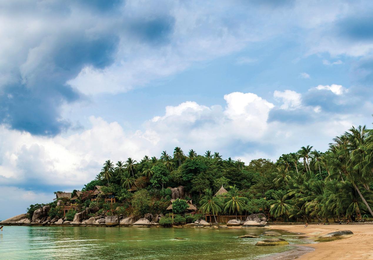 From holiday to NIGHTMARE