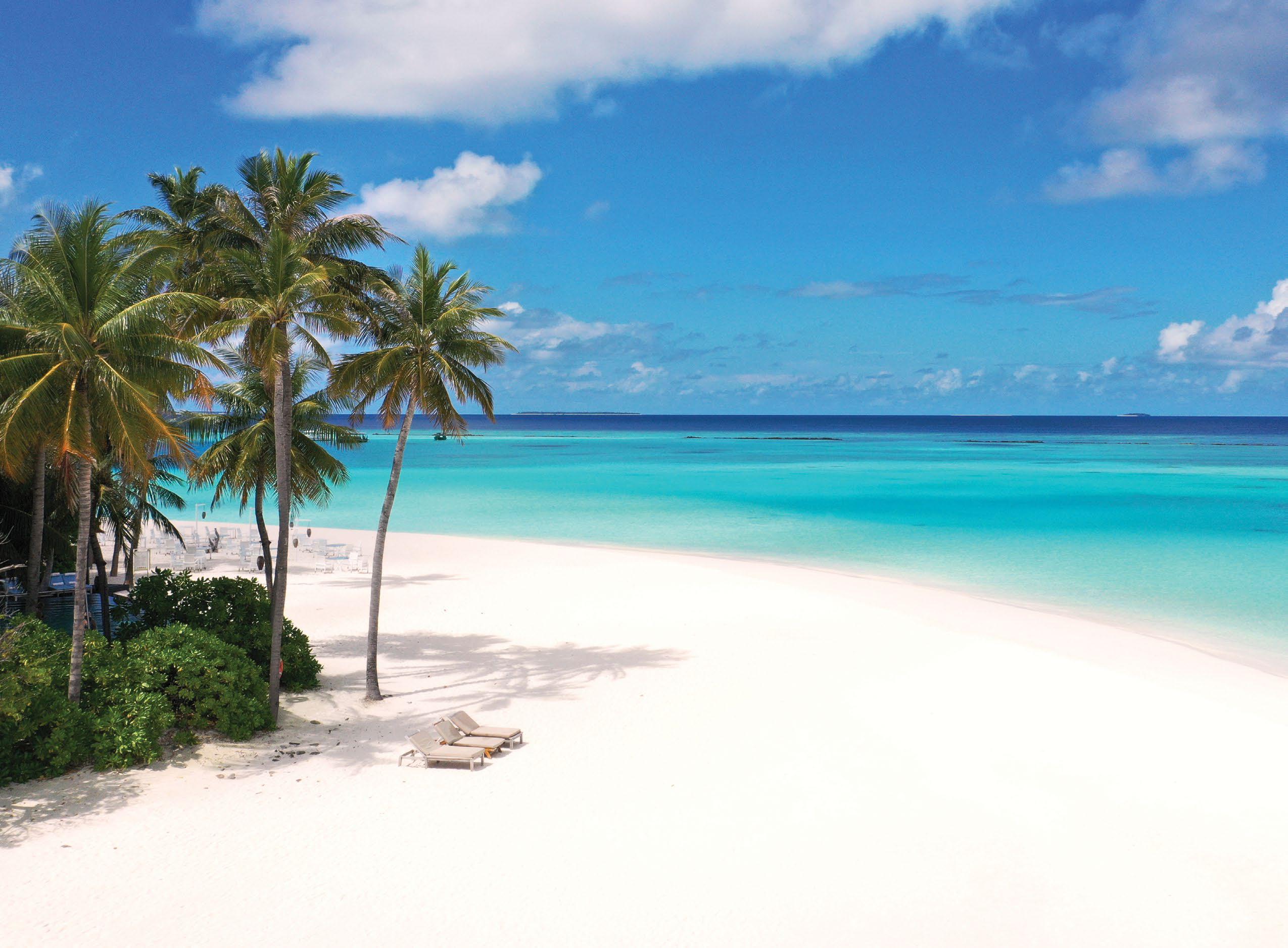 A little slice OF LUXE