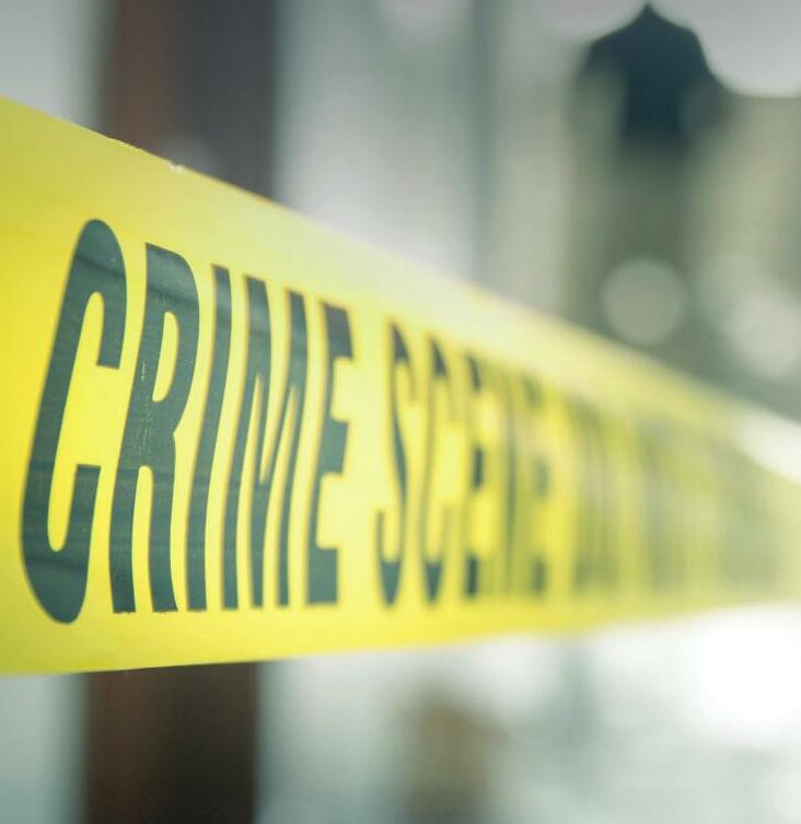 What drives SOMEONE TO KILL?