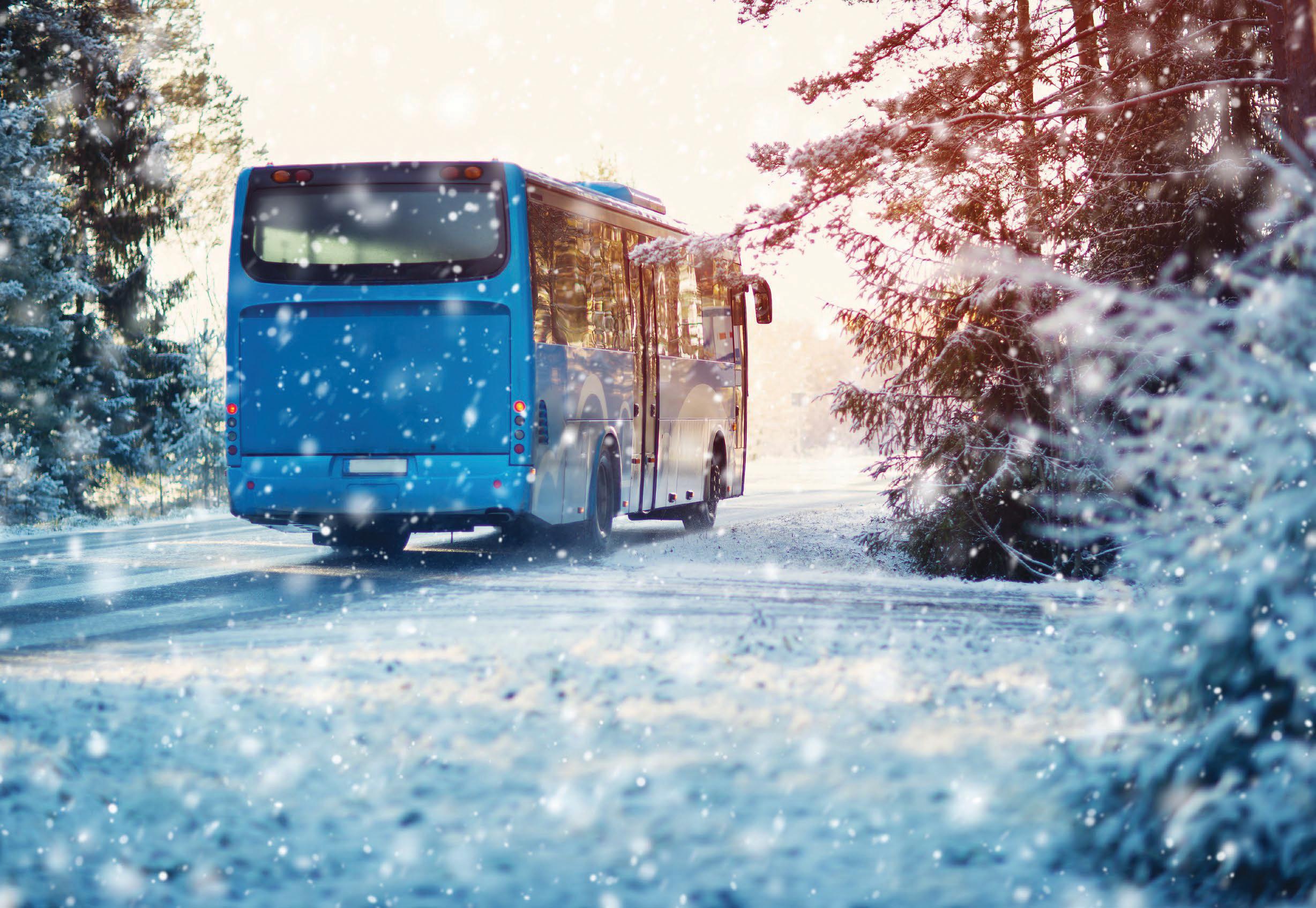 Cold COMFORT