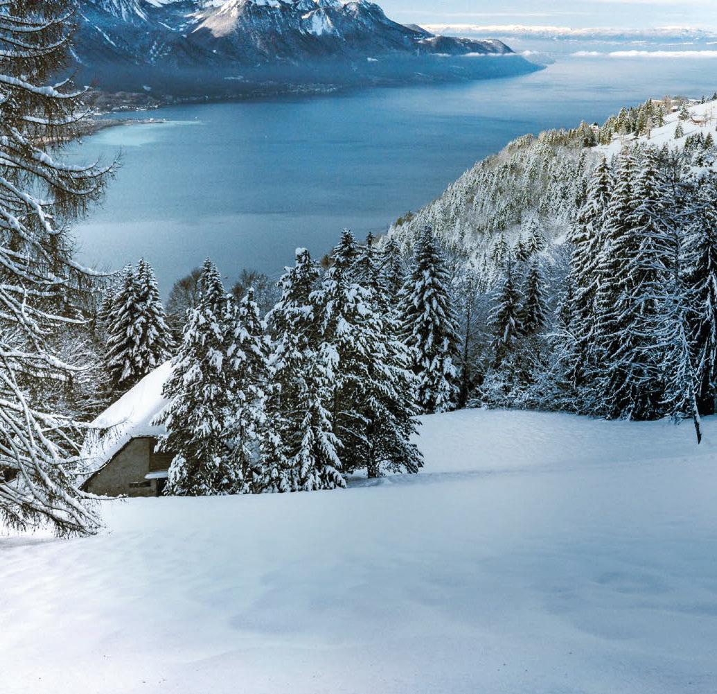 Swiss winter BLISS