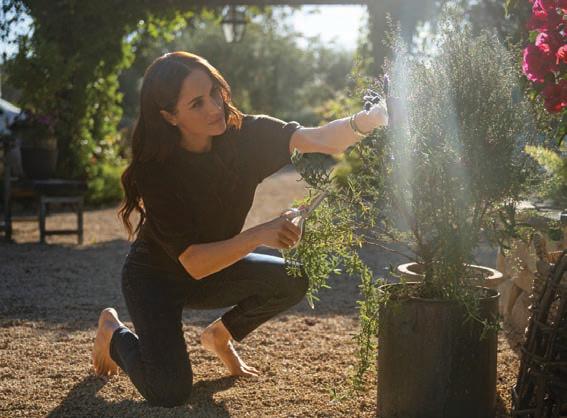 Harry and Meghan's CALIFORNIAN CHRISTMAS