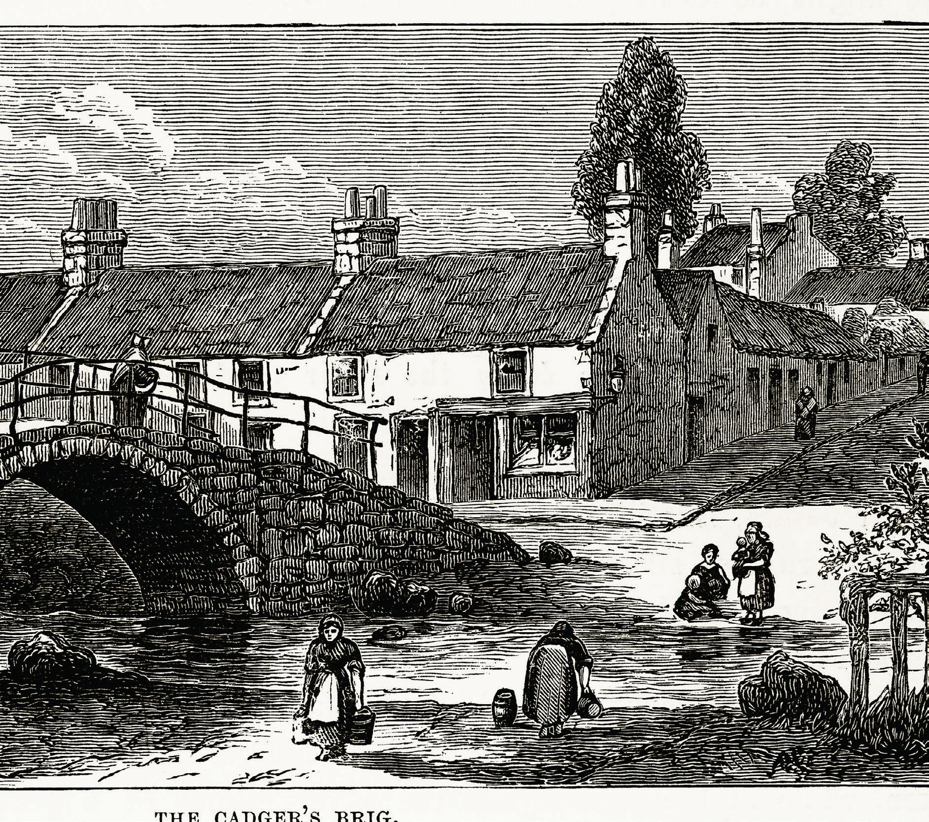 The kindness OF COUSINS