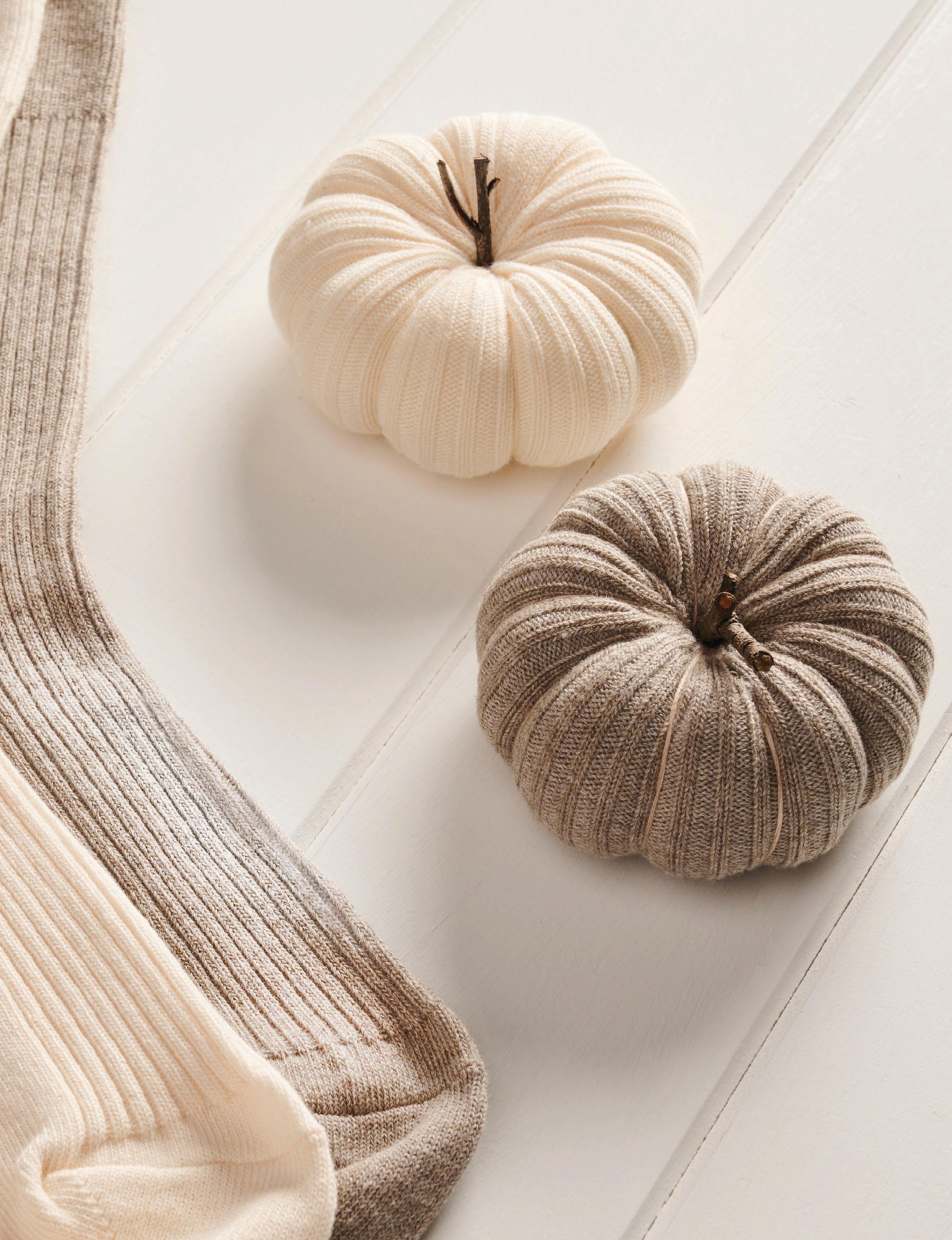 Pumpkin PATCH
