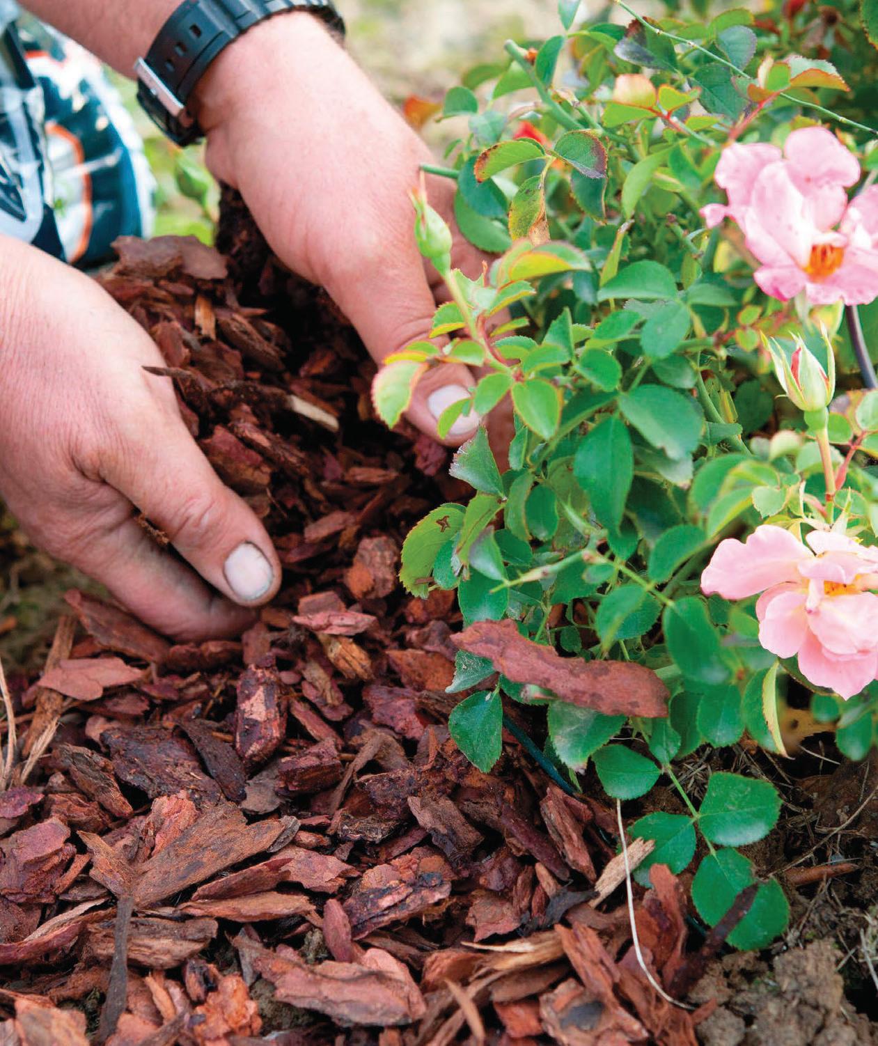 GARDEN notes