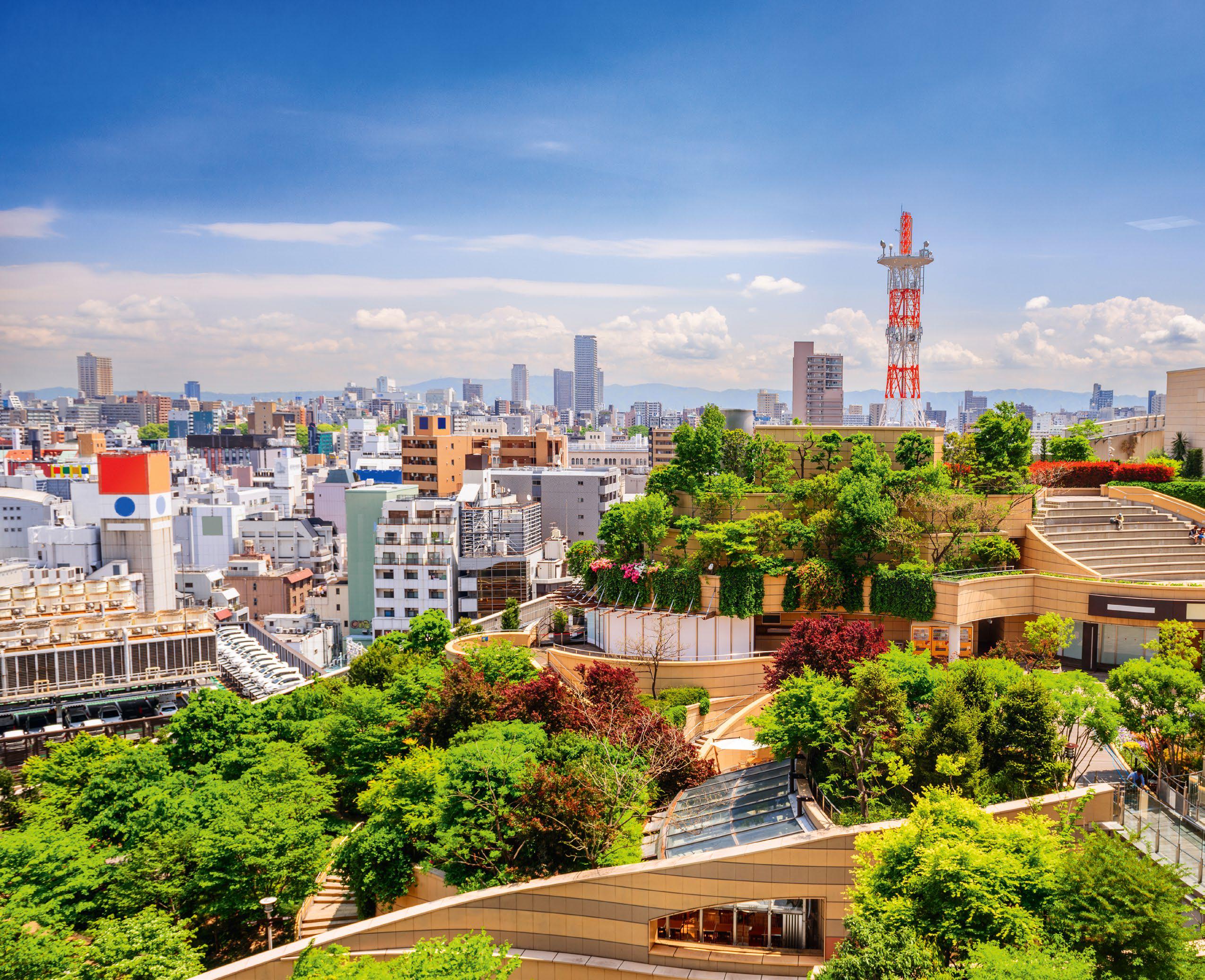 Japanese ADVENTURE
