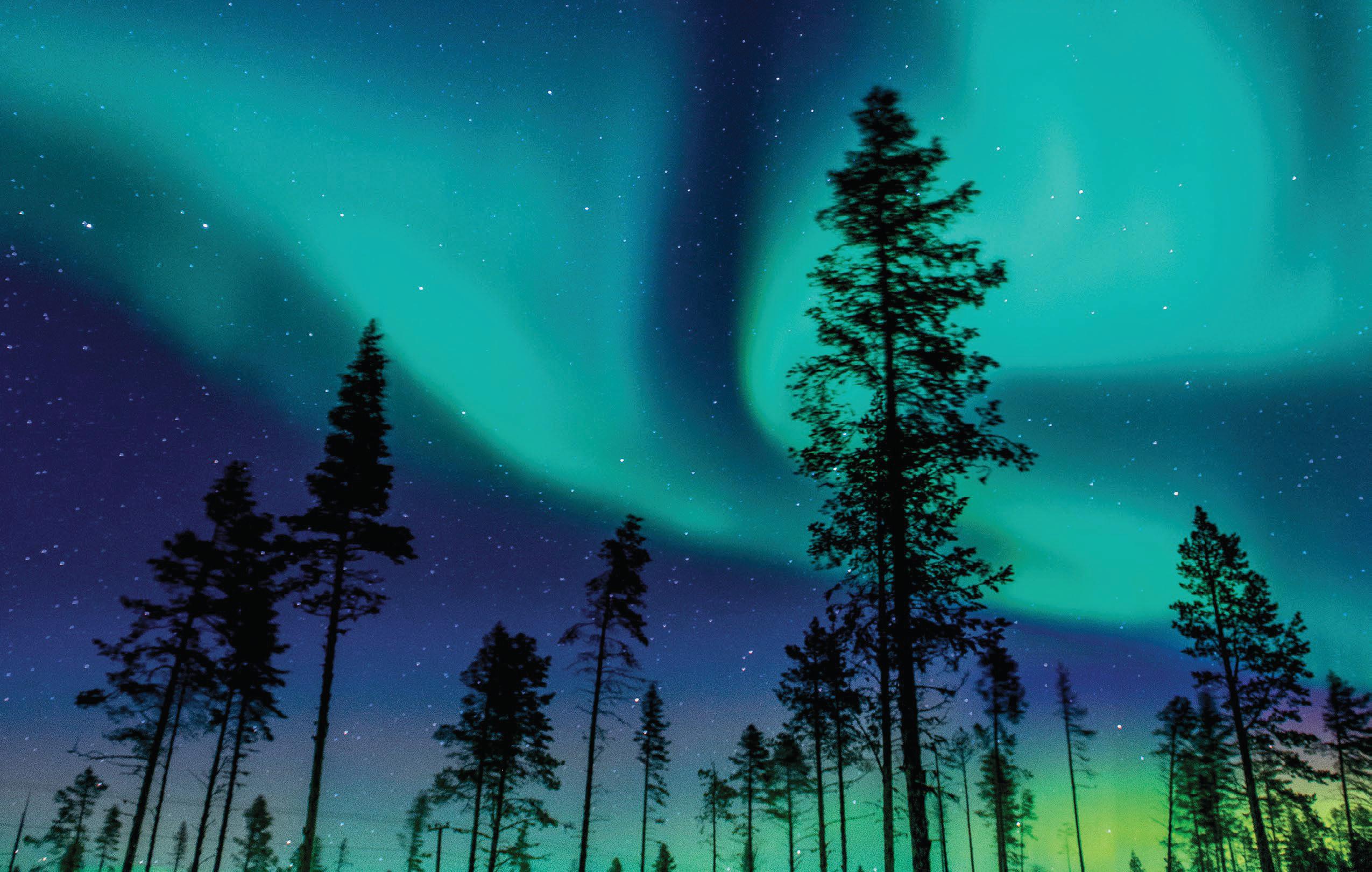 Under STARRY SKIES